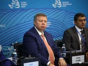 Росатом предложил построить АЭС большой мощности в Хабаровском или Приморском крае
