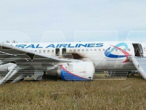 Airbus Уральских авиалиний совершил аварийную посадку в поле фото 