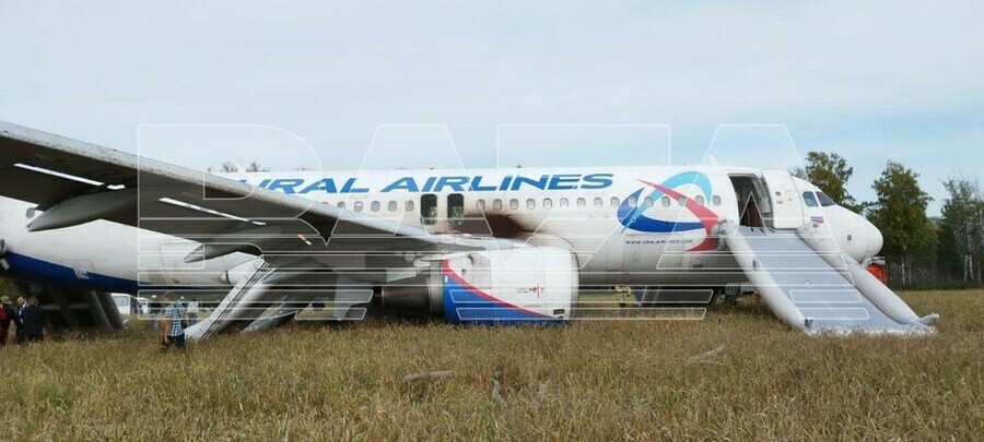 Airbus Уральских авиалиний совершил аварийную посадку в поле фото 
