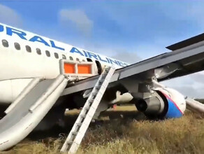 МЧС опубликовало видео с места аварийной посадки самолета в поле в Новосибирской области обновлено