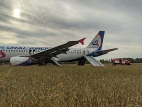Пассажирам экстренно севшего в поле под Новосибирском самолёта выплатят по 100 тысяч рублей