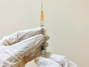 Объявление о платной вакцинации от гриппа заметили в поликлинике Благовещенска