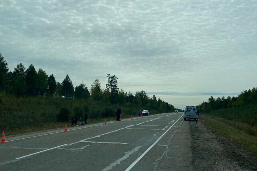Труп мужчины сбитого машиной недалеко от Шимановска нашли на трассе Амур