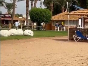 Акула откусила руку туристке в Египте видео