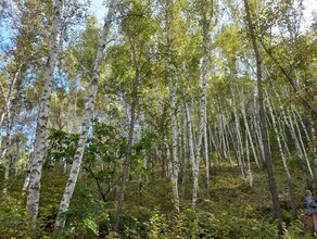 Прогноз погоды в Амурской области на 15 сентября