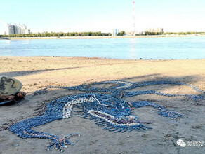 На берегу Амура напротив Благовещенска создана необычная картина с изображением символа реки  фото