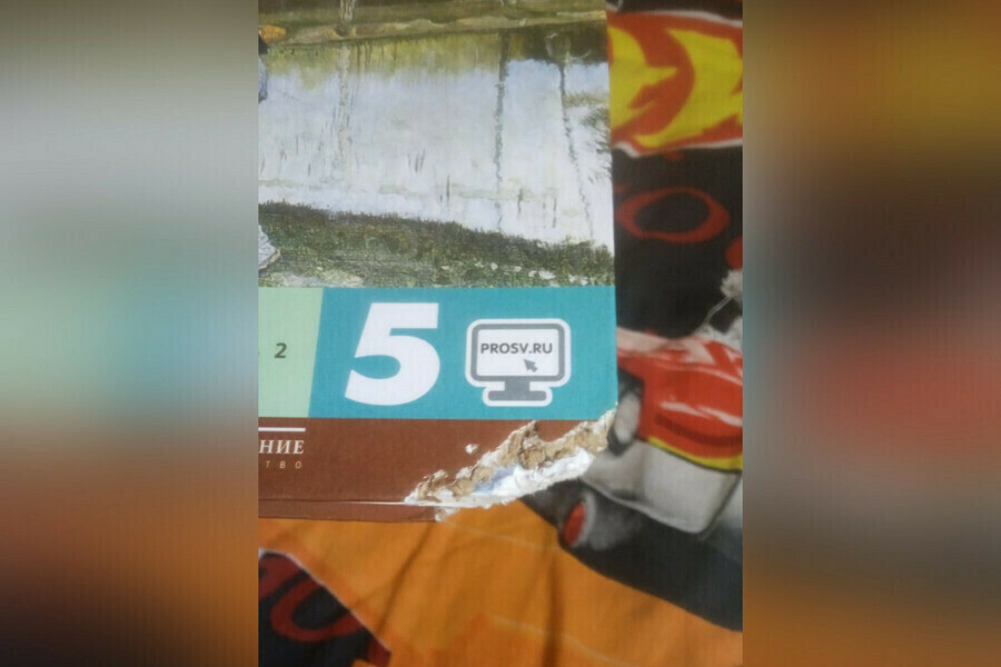 В амурской школе где родители пожаловались на погрызенные учебники прокуратура выявила нарушения