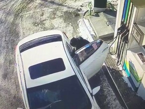 Самоубийство Незадолго до взрыва машины в Благовещенске водитель полила ее изнутри бензином видео