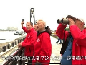 Китайские автоблогеры устроили автопробег вдоль Амура чтобы позвать туристов в Благовещенск по безвизу видео