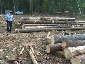 Восемь граждан КНР будут депортированы из Амурской области