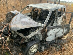 В Амурской области после удара о дерево машина запылала как факел