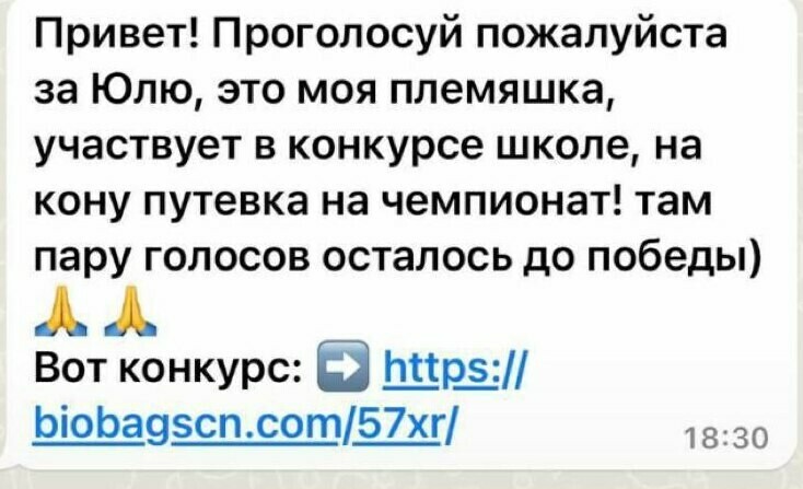 Амурчан предупредили о массовой рассылке вирусов в WhatsApp Как проверить аккаунт на паразита