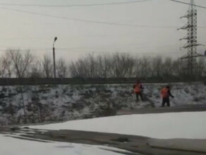 В Благовещенске сняли на видео странное действо покос травы в ноябре 