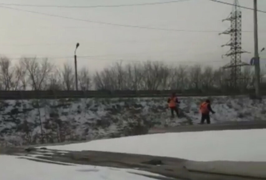 В Благовещенске сняли на видео странное действо покос травы в ноябре 