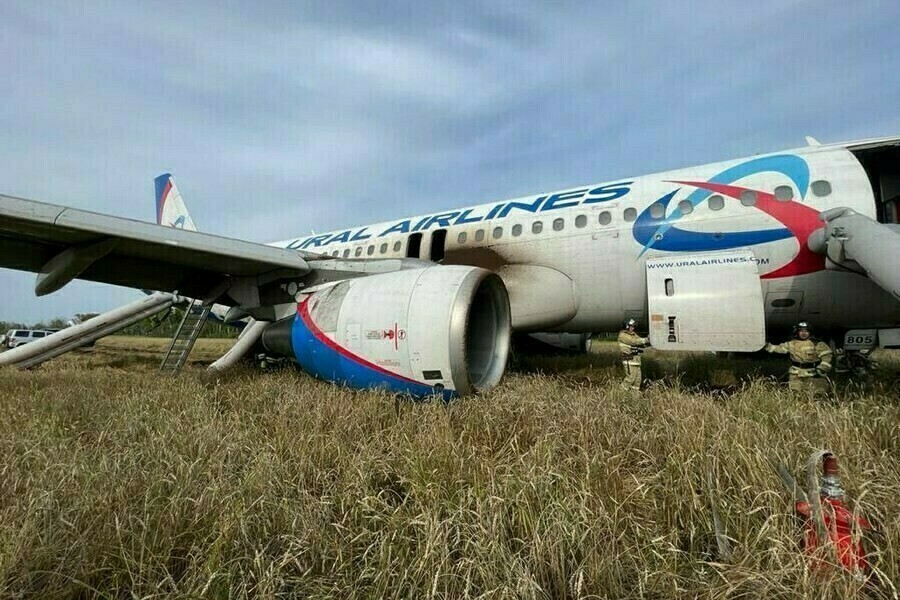 Новосибирский колхоз на чьём поле экстренно сел самолет Уральских авиалиний собирается требовать 12 миллиона 