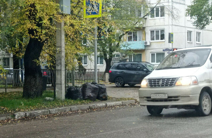 Мэрия Благовещенска недовольна мешками мусора у дорог и объясняет куда их вывозить