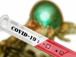 В Амурской области за сутки выявили еще 161 зараженного COVID19 У большинства  симптомы ОРВИ