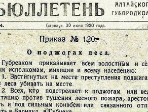 Амурское лесничество подняло архивы и нашло ответ почему 100 лет назад не горели леса