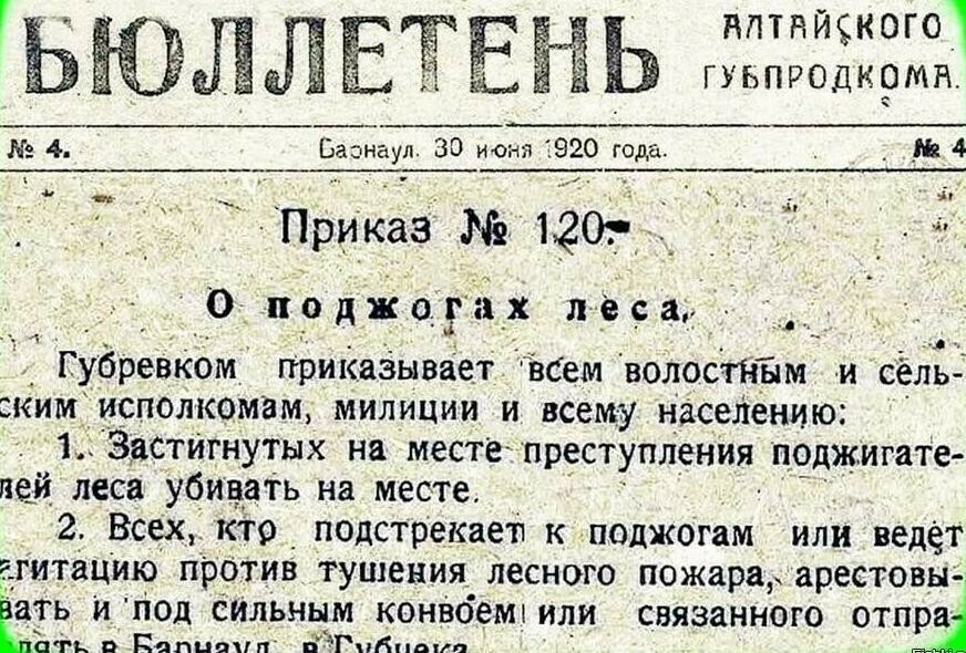 Амурское лесничество подняло архивы и нашло ответ почему 100 лет назад не горели леса