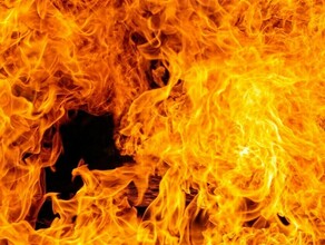 После гибели в пожаре двоих малышей власти Приамурья рассказали какими методами хотят достучаться до людей 