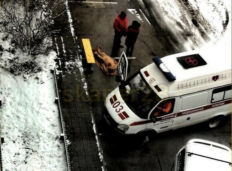 Во дворе одного из дворов Благовещенска умерла бабушка