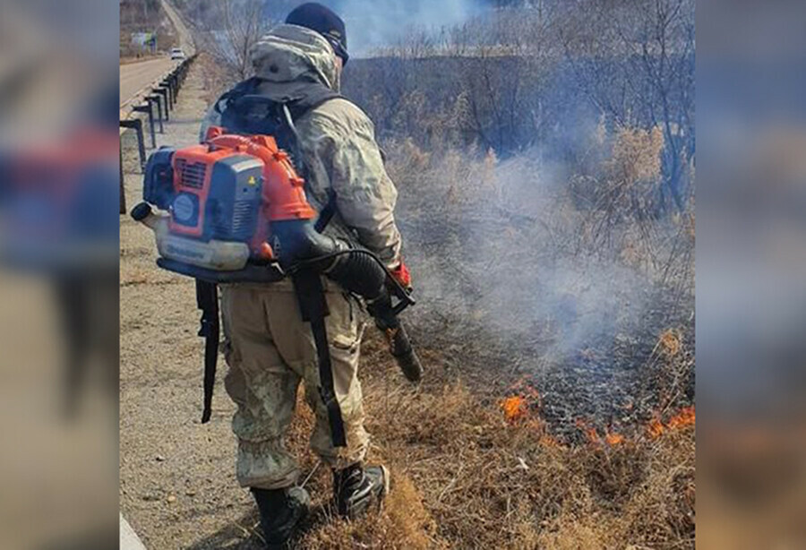 В Благовещенске тушили палы на Астрахановских лугах Игнатьевском шоссе и в Моховой Пади  