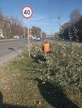 ГСТК начала обрезку деревьев вдоль проезжей части в Благовещенске