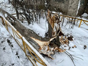 В Магдагачинском районе прошел снежный ураган Есть последствия