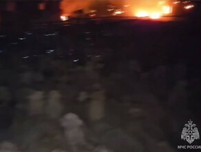 Около 500 баранов спасли от сильного огня в Приморье но погиб человек видео
