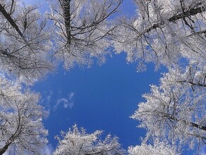 Мороз и солнце прогноз погоды в Амурской области на 9 ноября