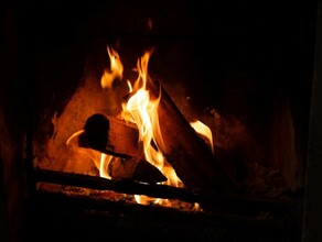 В Амурской области активизировались мошенники которые нагревают людей запасающихся на зиму дровами