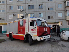 На пожаре в Благовещенске спасены женщина собака и кот 