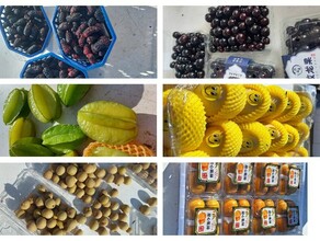 Джаботикаба рамбутан восковница около 500 тонн экзотических фруктов из Китая привезли в Приамурье