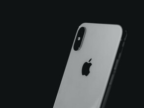 Благовещенец нашел на дереве пакет с iPhone и едва не поплатился свободой