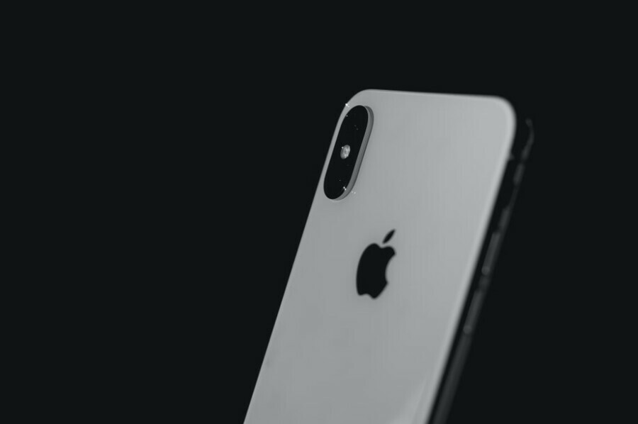Благовещенец нашел на дереве пакет с iPhone и едва не поплатился свободой