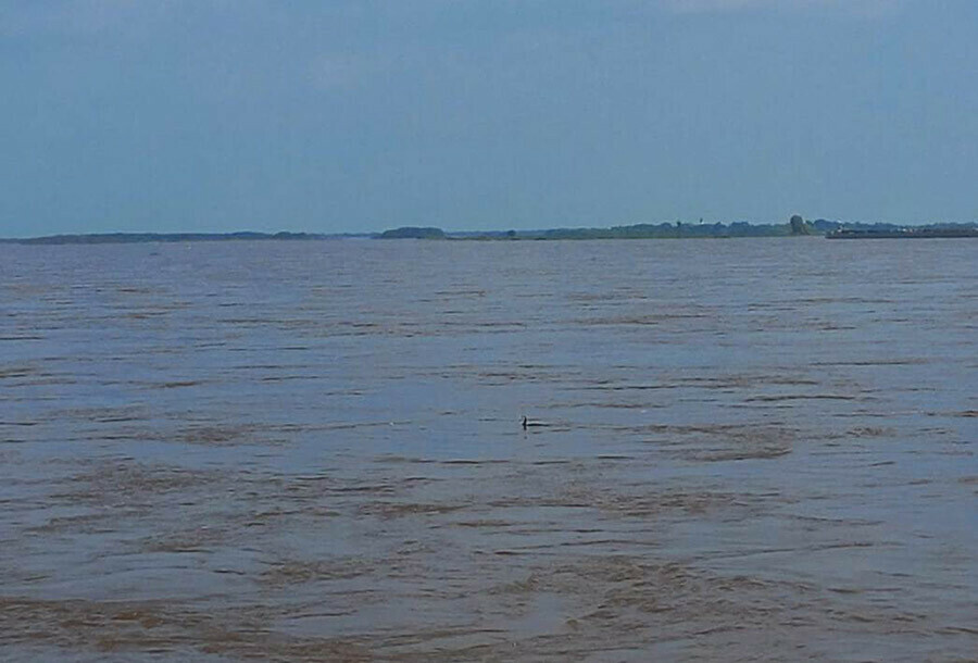 На реке Олёкме в Приамурье утонул ремонтник искусственных сооружений