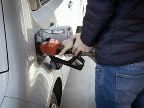 Госдума придумала как удержать цены на бензин