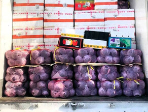 Около 20 тонн овощей и фруктов возвратили в Китай из Приамурья 