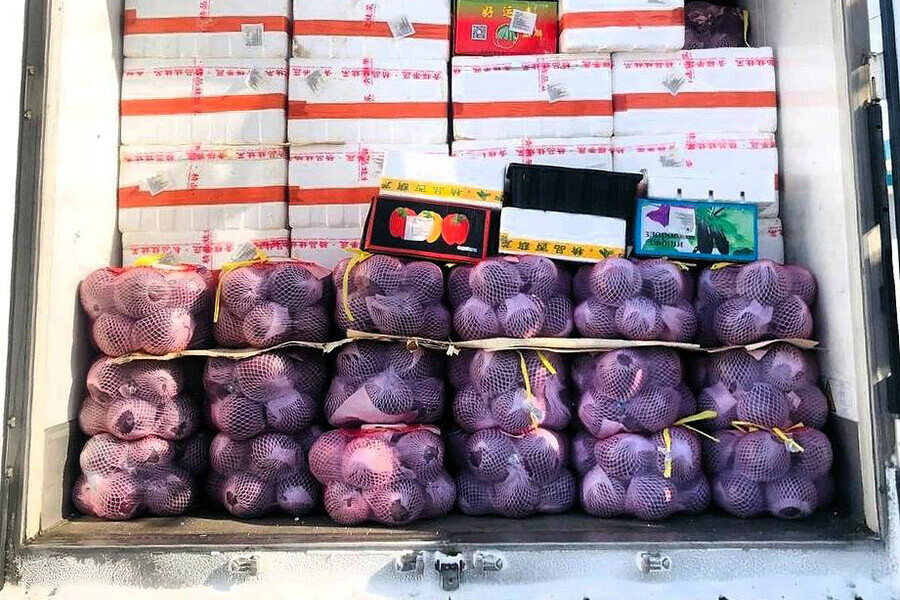 Около 20 тонн овощей и фруктов возвратили в Китай из Приамурья 