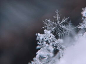 30градусные морозы ударят в Приамурье