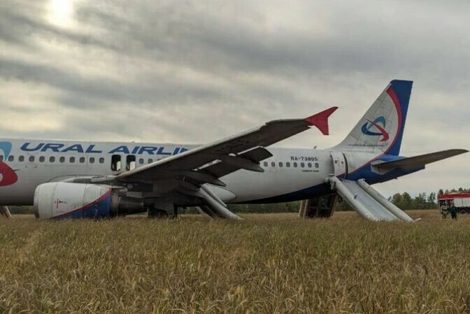 Росавиация вынесла двоякое решение о пилотах самолета который сел в пшеничном поле под Новосибирском