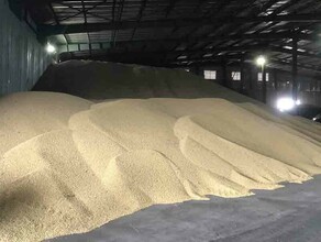 Стало известно куда вывозят зерно из Амурской области