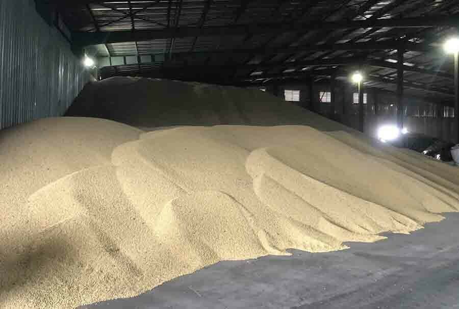 Стало известно куда вывозят зерно из Амурской области