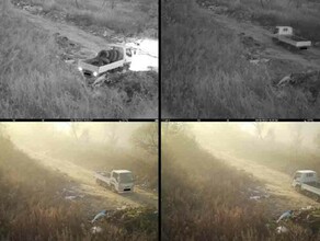 Фотоловушки ловят и будут ловить амурчан загрязняющих природу области