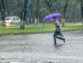 Дожди возвращаются в Приамурье объявлено штормовое предупреждение