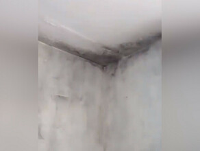 Жители многоквартирного дома в Благовещенске несколько недель живут на воде видео