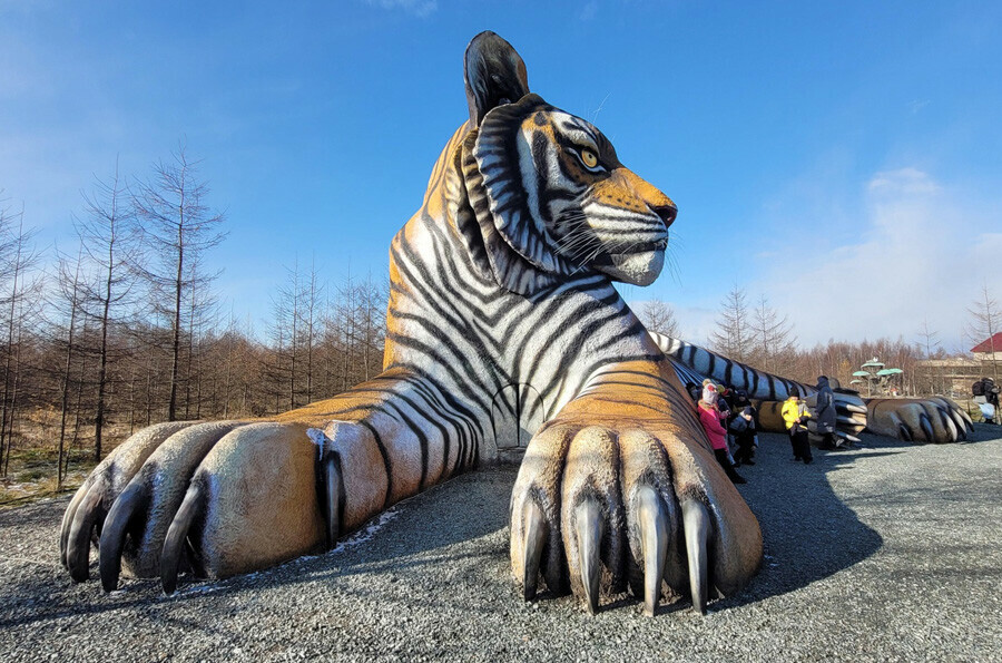 Самый большой в России тигр со смотровой площадкой в голове установлен на Сахалине фото