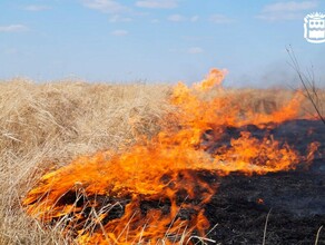 За лесные пожары заплатят обычные амурчане