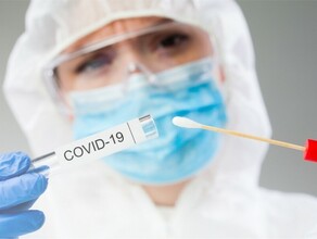 Для снижения нагрузки на клиники Благовещенска тесты на коронавирус стали исследовать на Амурском ГПЗ