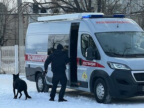 Благовещенские школы проверяют после сообщений о минировании